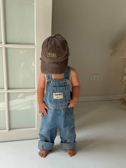 Signature Dad Cap- Earth